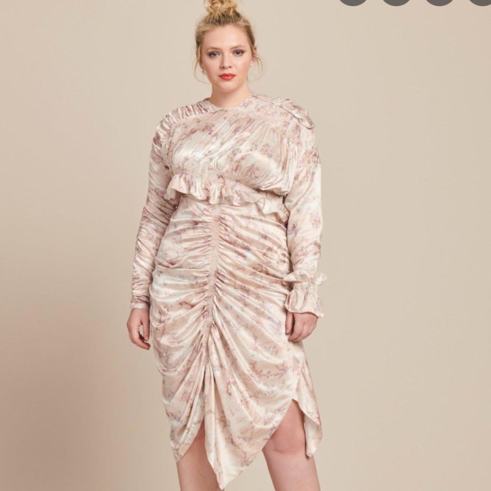 NWT Preen By Thornton Bregazzi | Dakota Satin Ruched Pink Floral Dress XXL